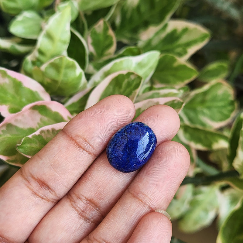Lapis Lazuli Gemstone - 12.17 Carat