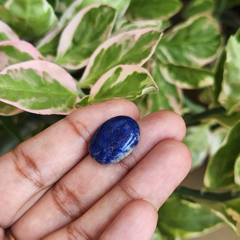Lapis Lazuli Gemstone - 12.17 Carat