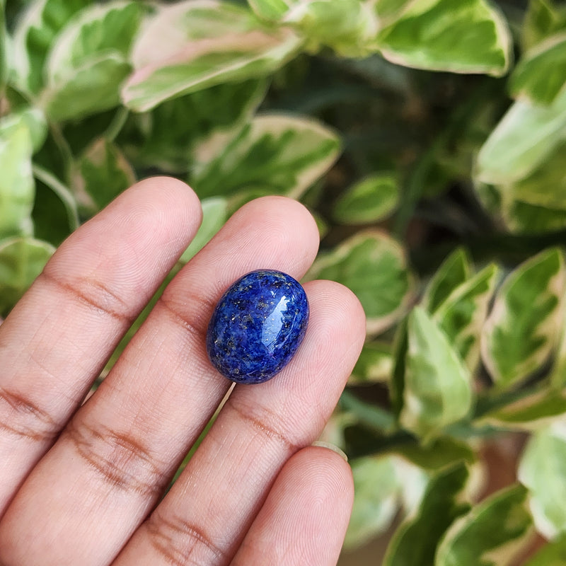 Lapis Lazuli Gemstone - 12.81 Carat