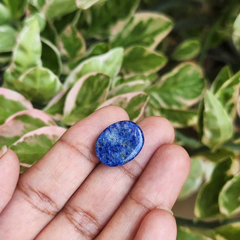 Lapis Lazuli Gemstone - 12.81 Carat