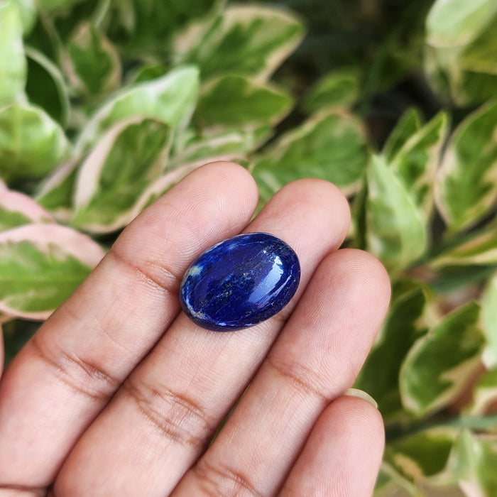 Lapis Lazuli Gemstone - 12.40 Carat