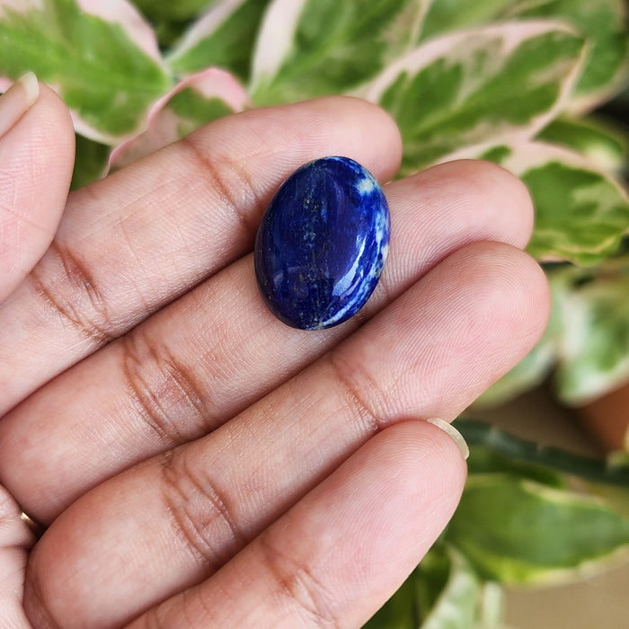 Lapis Lazuli Gemstone - 12.40 Carat