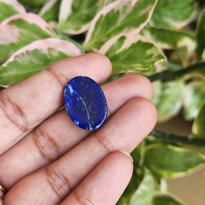 Lapis Lazuli Gemstone - 12.40 Carat