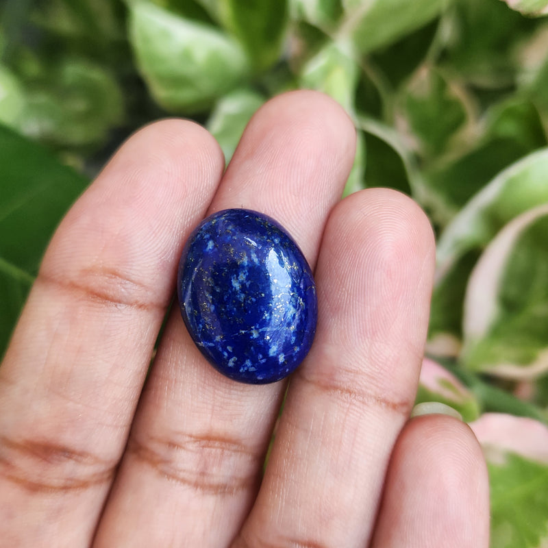 Lapis Lazuli Gemstone - 13.22 Carat