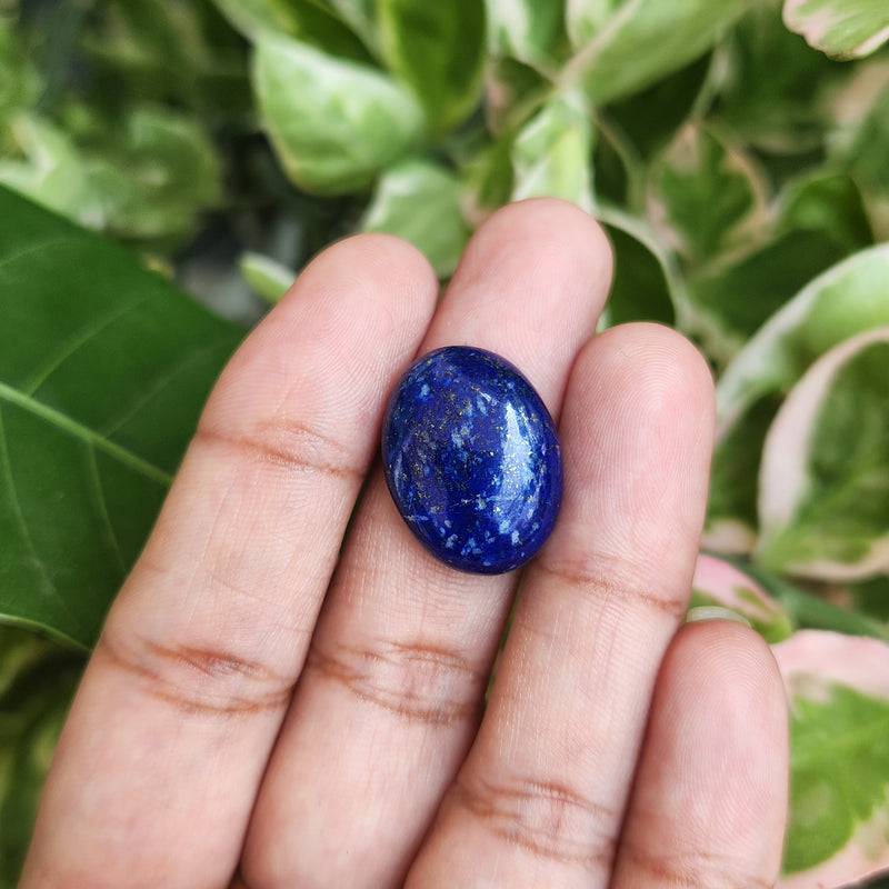 Lapis Lazuli Gemstone - 13.22 Carat