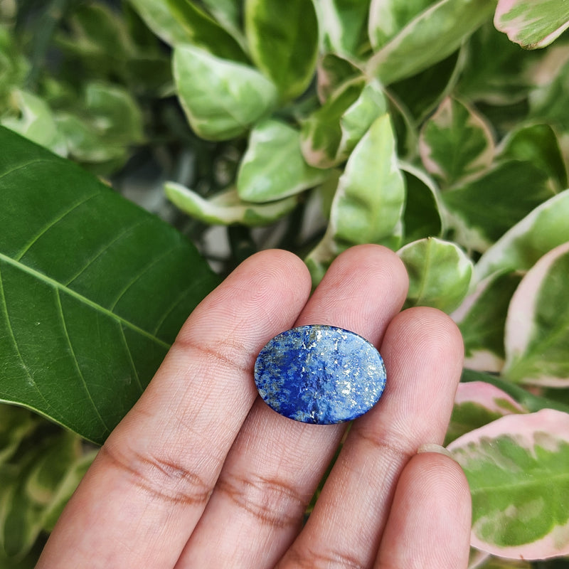 Lapis Lazuli Gemstone - 13.22 Carat