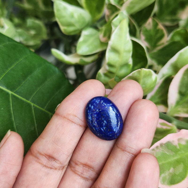 Lapis Lazuli Gemstone - 13.22 Carat
