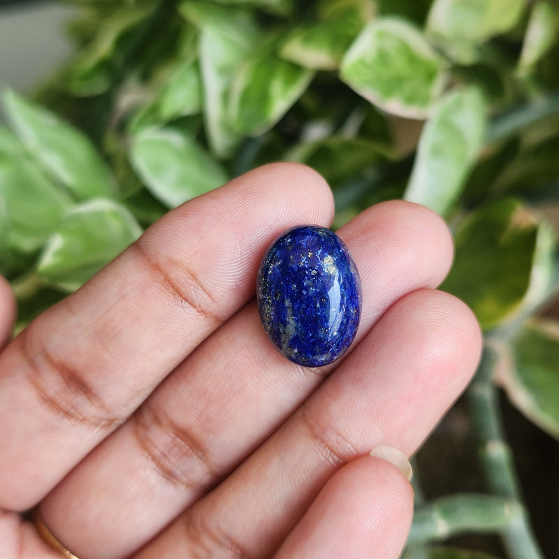 Lapis Lazuli Gemstone - 12.57 Carat