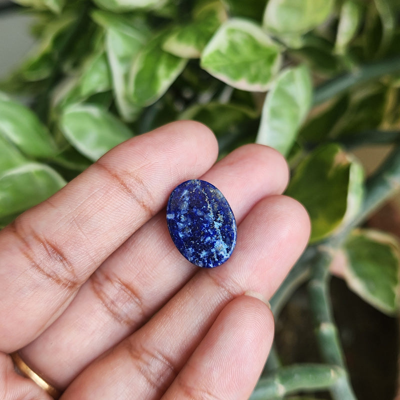 Lapis Lazuli Gemstone - 12.57 Carat