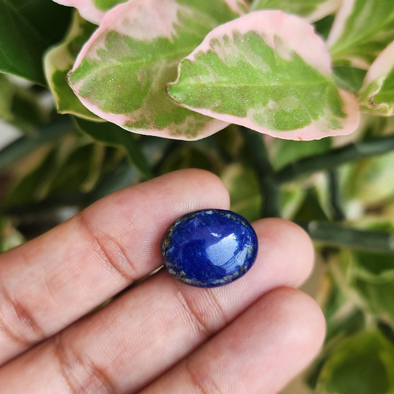 Lapis Lazuli Gemstone - 10.11 Carat