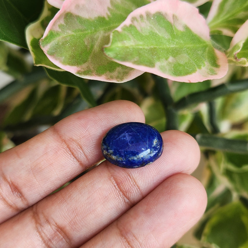 Lapis Lazuli Gemstone - 10.11 Carat