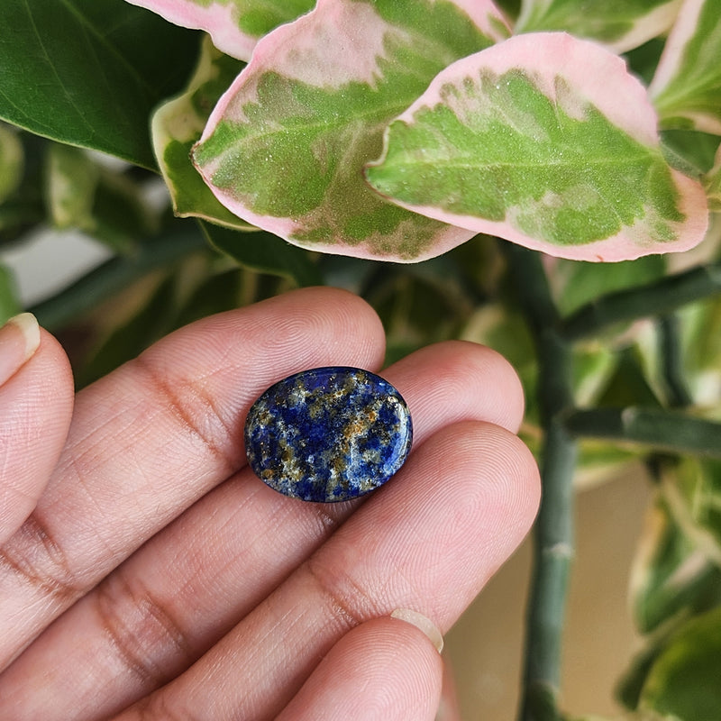 Lapis Lazuli Gemstone - 10.11 Carat