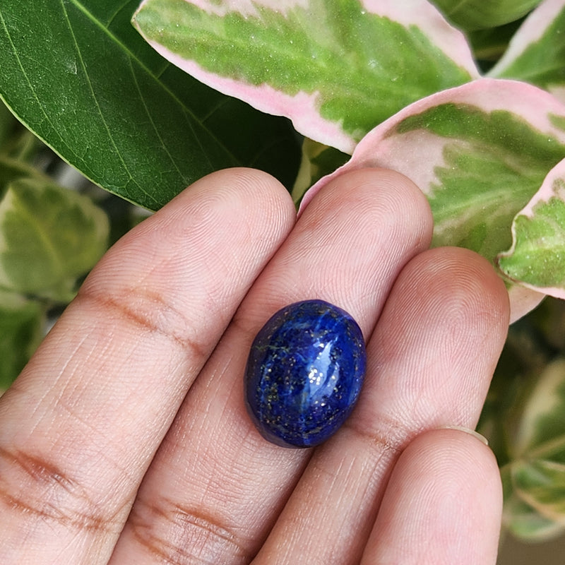 Lapis Lazuli Gemstone - 11.25 Carat