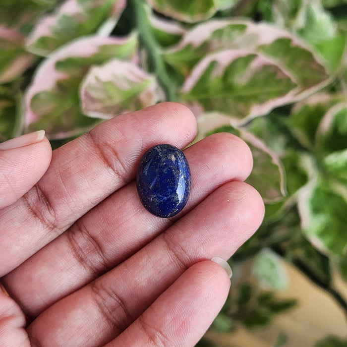 Lapis Lazuli Gemstone - 9.44 Carat