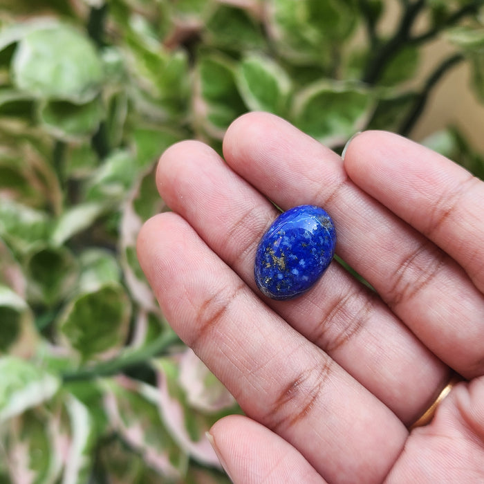 Lapis Lazuli Gemstone - 11.49 Carat