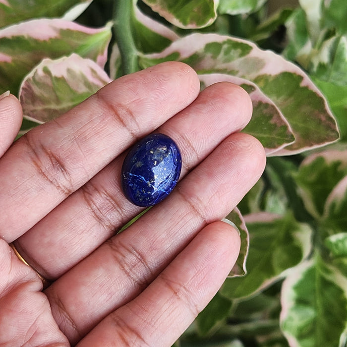Lapis Lazuli Gemstone - 11.65 Carat