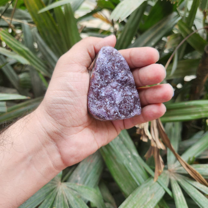 Amethyst Standing  Cluster from Uruguay (AAA)