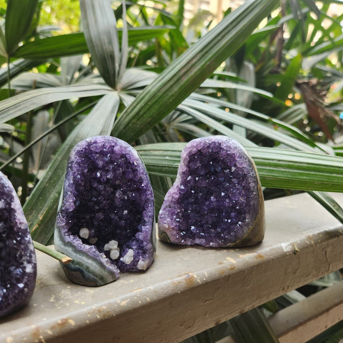 Amethyst Standing  Cluster from Uruguay (AAA)