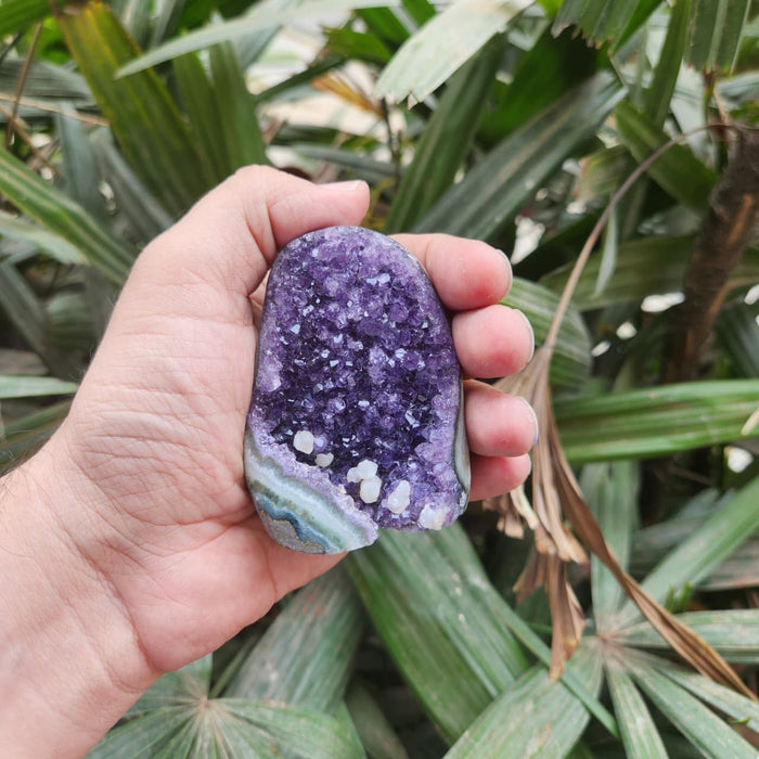 Amethyst Standing  Cluster from Uruguay (AAA)