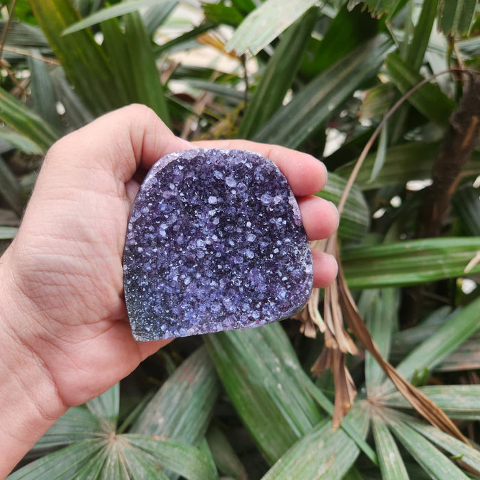 Amethyst Standing  Cluster from Uruguay (AAA)