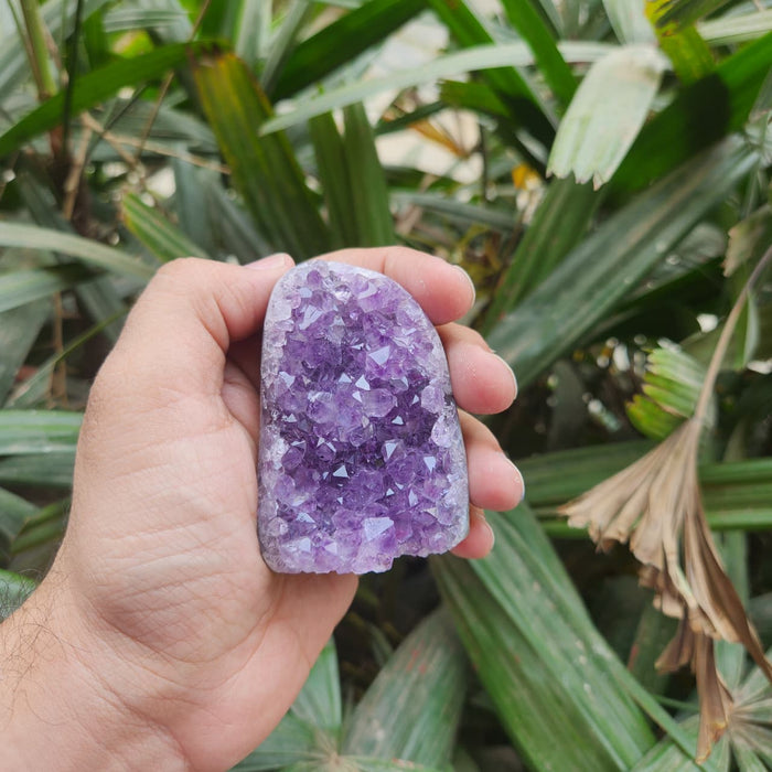 Amethyst Standing  Cluster from Uruguay (AAA)