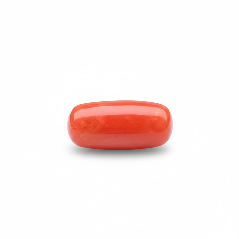 Red Coral (Moonga) Semi-Precious Gemstone-5.62 Carat