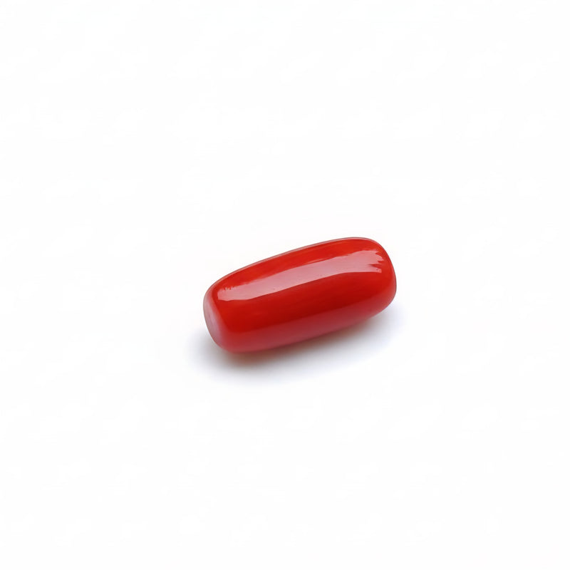 Red Coral (Moonga) Semi-Precious Gemstone-6.32 Carat