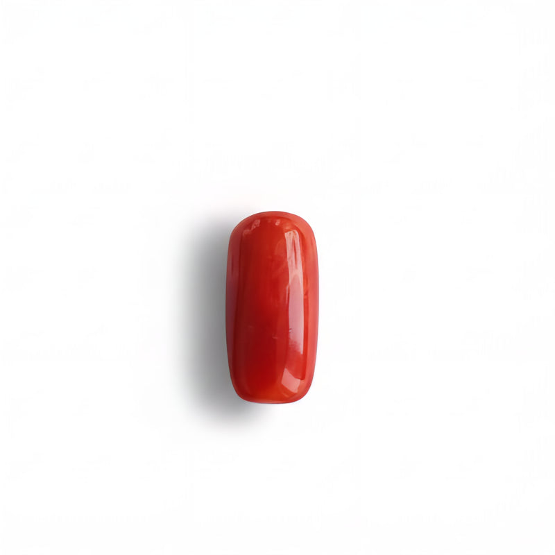 Red Coral (Moonga) Semi-Precious Gemstone-5.30 Carat