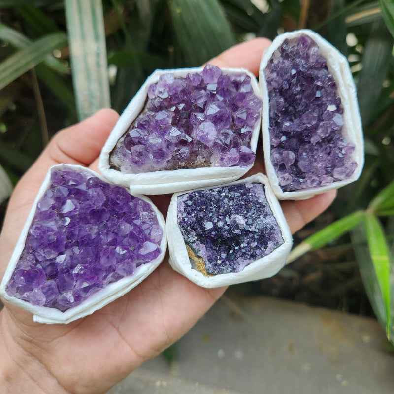 Amethyst Cluster from Uruguay