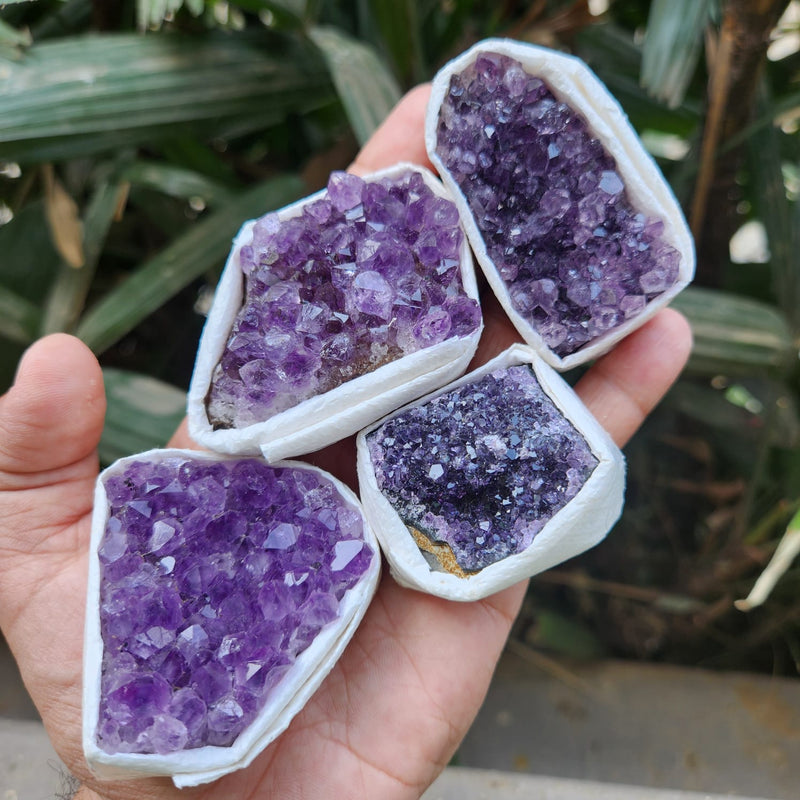 Amethyst Cluster from Uruguay