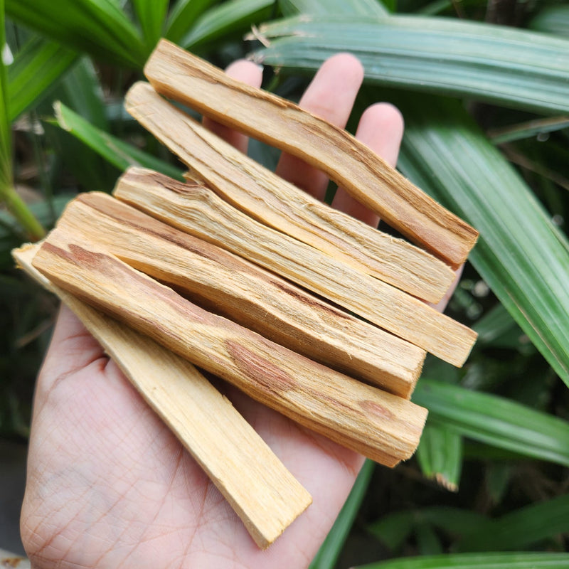 Palo Santo sticks for smudging & Cleansing- 1 Piece
