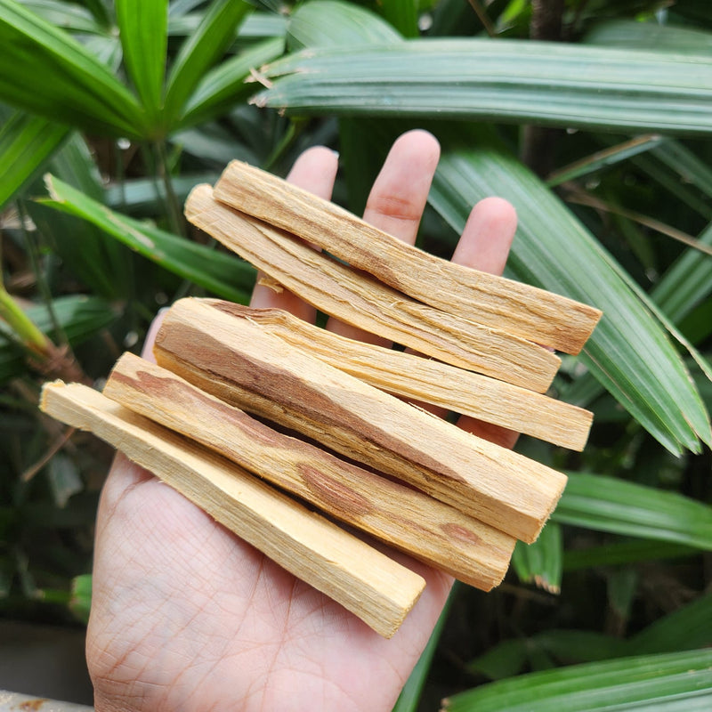 Palo Santo sticks for smudging & Cleansing- 1 Piece