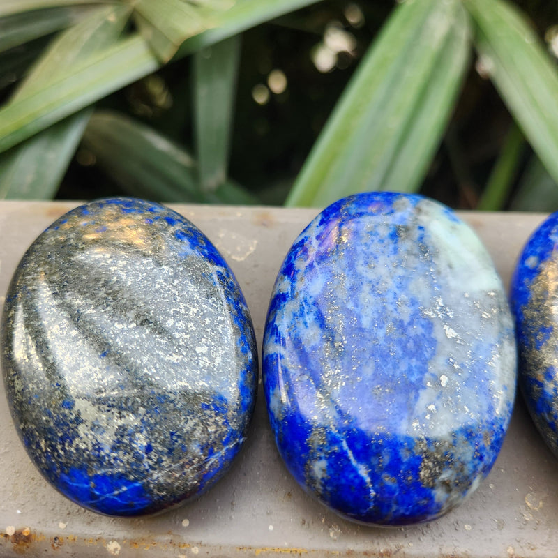 Natural Lapis Lazuli Palm Stone for Communication & Intuition- 1 Piece