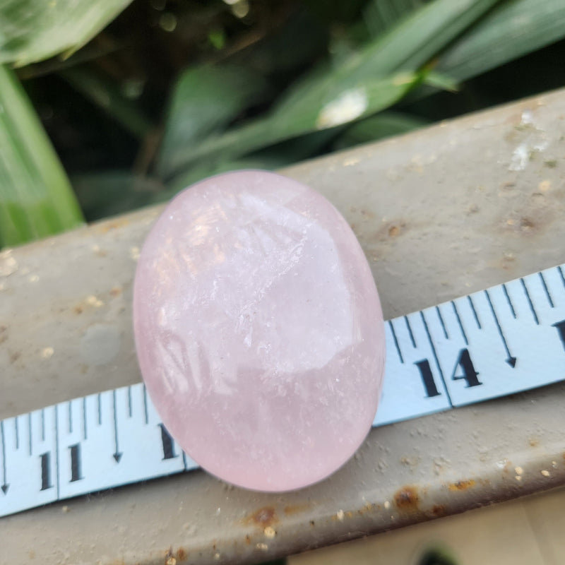 Natural Rose Quartz Crystal Palm Stone for Love & Harmony
