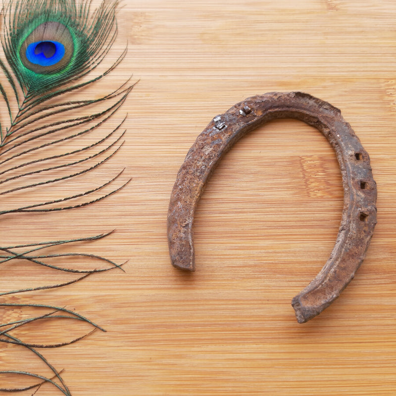 Black Horse Shoe (Kaale Ghode Ki Naal)