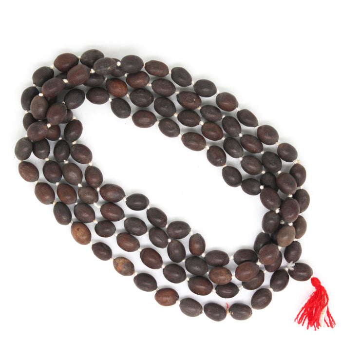 Dried Lotus Seeds Kamal Gatta 108 +1 Beads 36 Inch Japa Mala 15mm