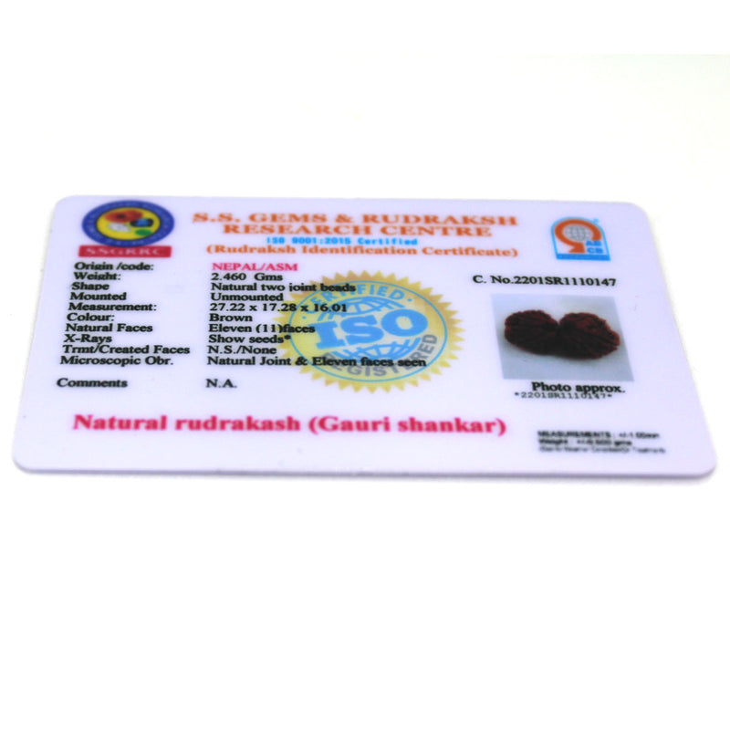Gauri Shankar Rudraksha from Nepal